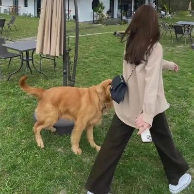 布兰丁斯城堡第一季